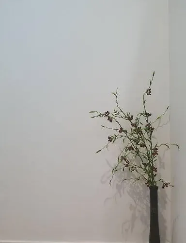 Apartment Hyuns 301 - Station 5 Min By Walk